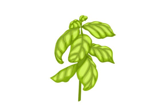 Download Basil Pesto Plant Cartoon Vector - Plant Collection